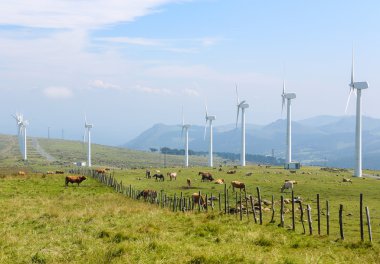 Rüzgar türbinleri üzerinde bir rüzgar çiftliği bulunan Galiçya, İspanya