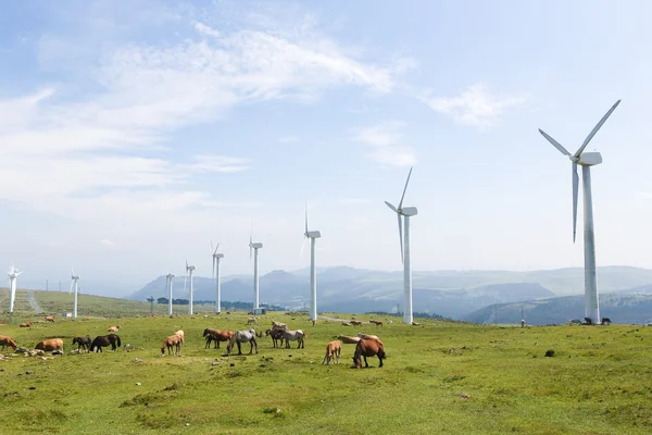 Turbiny wiatrowe na farmie wiatrowej w Galicji, Hiszpania — Zdjęcie stockowe