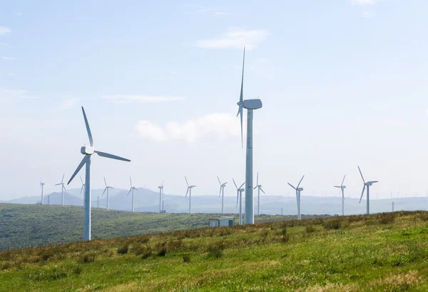 Wind turbines on a wind farm in Galicia, Spain — Stock Photo, Image