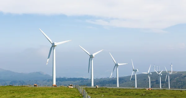 Eoliennes dans un parc éolien en Galice, Espagne — Photo