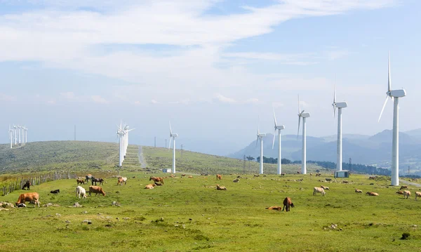 Turbinas eólicas num parque eólico na Galiza, Espanha — Fotografia de Stock