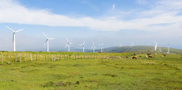 Turbiny wiatrowe na farmie wiatrowej w Galicji, Hiszpania — Zdjęcie stockowe