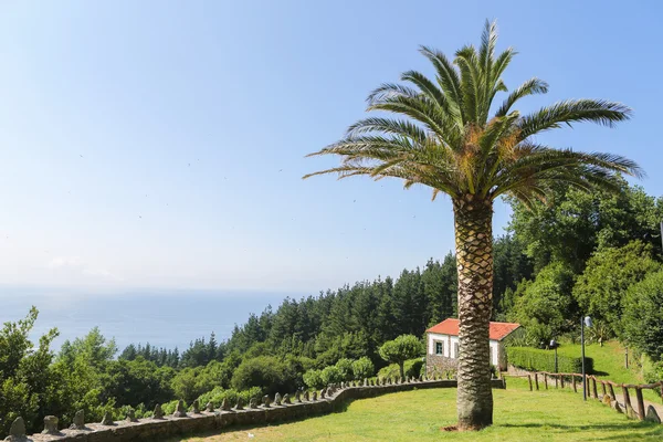 Beautiful landscape with palmtree and house in San Andres, Galic — Stock Photo, Image