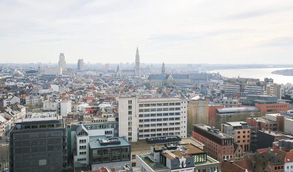 Luchtfoto op het centrum van Antwerpen, België — Stockfoto