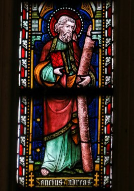 Andrew - vitray Sint Truiden Katedrali, saint