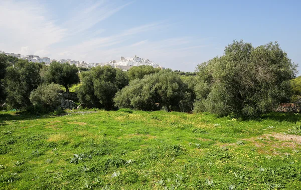 Δες στο κέντρο του ostuni, puglia, Ιταλία — Φωτογραφία Αρχείου