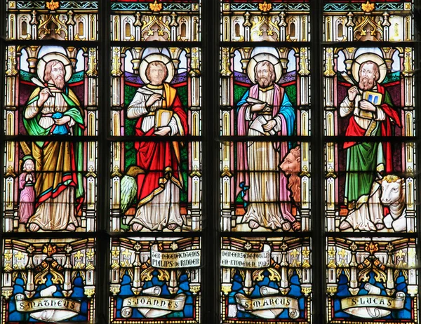 Stained Glass depicting the Four Evangelists — Stockfoto