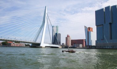 Rotterdam, Hollanda 'daki Erasmus Köprüsü