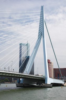 Rotterdam, Hollanda 'daki Erasmus Köprüsü