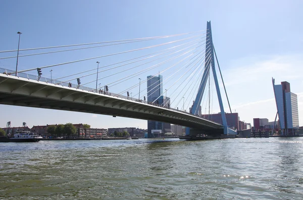 Erasmusbrug in Rotterdam, Nederland — Stockfoto