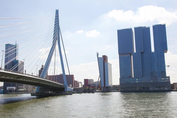 Erasmusbrug in Rotterdam, Nederland — Stockfoto
