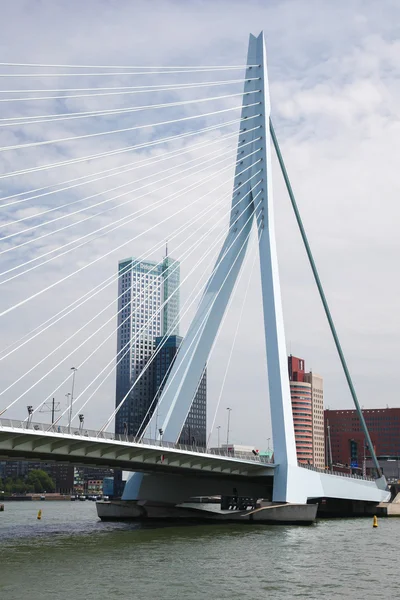 Erasmusbrücke in Rotterdam, Niederlande — Stockfoto