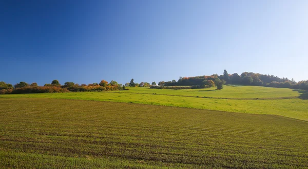 Vulkaneifel στη Ρηνανία-Παλατινάτο, Γερμανία — Φωτογραφία Αρχείου