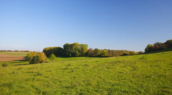 Vulkaneifel in Rheinland-Pfalz, Deutschland — Stockfoto