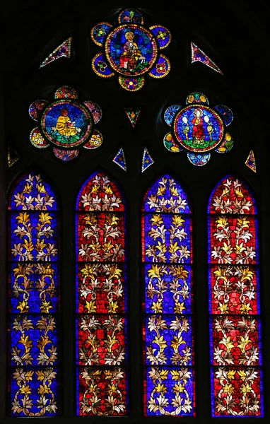 Stained Glass of branches in Cathedral of Leon, Spain — Stock Photo, Image