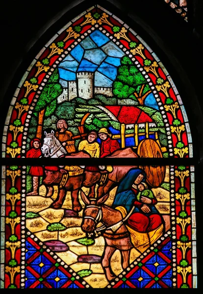 Stained Glass of the flight to Egypt in Cathedral of Leon, Spain — Stock Photo, Image