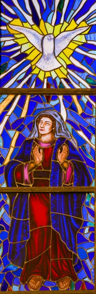 Stained Glass of Mother Mary and the Holy Spirit in Madrid Cathe — Stockfoto