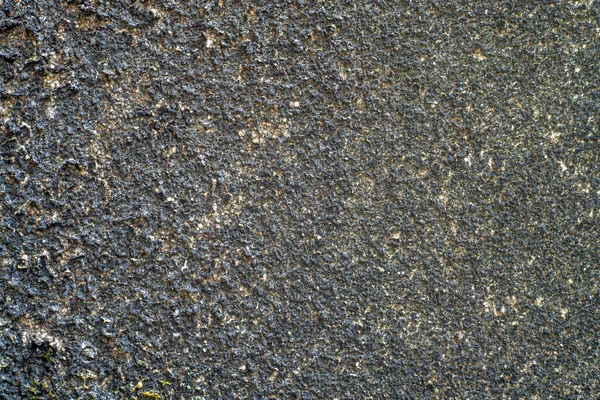 Vintage arkaplan, yosun lekeli sert beton duvarın arka plan dokusu.