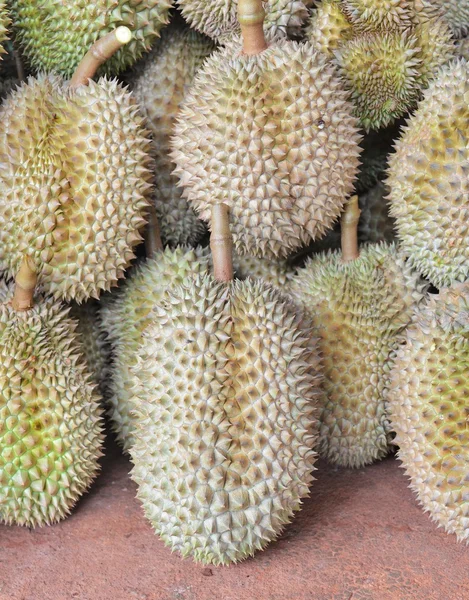 Durian vruchten formulier Thailand — Stockfoto