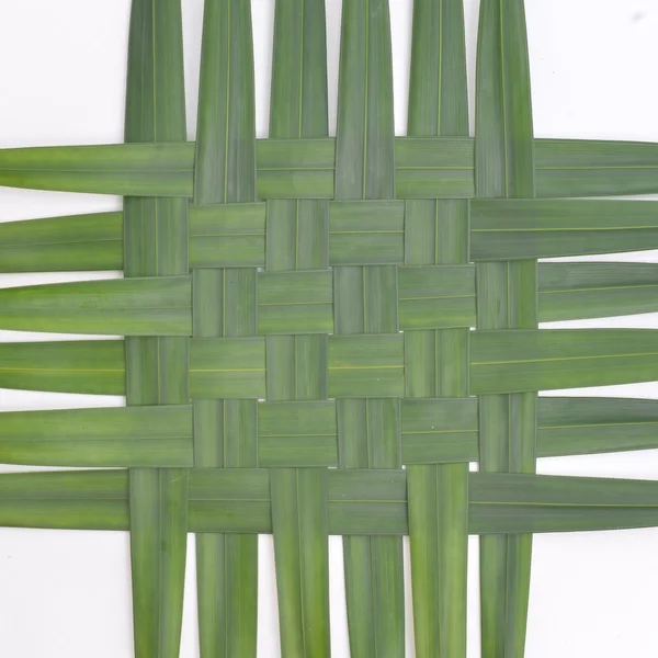 Woven green coconut leaves texture — Stock Photo, Image