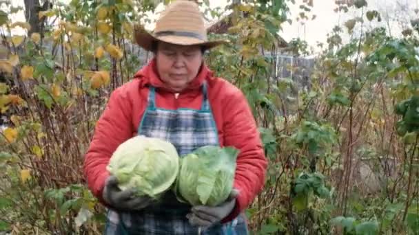 Жінка-фермер 60 років тримає два гойдалки капусти. Поняття природної, здорової їжі. Працювати в саду. Періодична робота для пенсіонерів у сільському господарстві. бізнес . — стокове відео