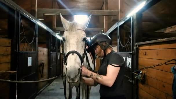 Kvinna förbereder en stor, kraftfull mörkbrun häst för dressyr träning. Flickan sätter försiktigt stigbygeln på en häst i stallet. Begreppet aktiv livsstil. — Stockvideo