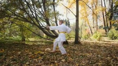On iki yaşındaki genç bir kız parkta karate yapıyor. Sağlıklı yaşam tarzı kavramı. Spor yapıyor. Dövüş sanatları. Judo, Jiujitsu. Cesur, güçlü. Yumruklarını geliştirir.