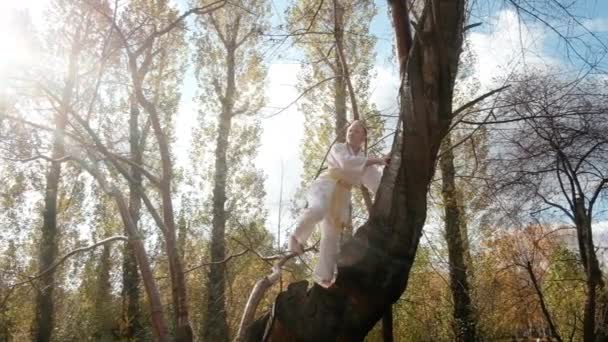 Teenager dívka 12 let se zabývá karate venku v parku. Zdravý životní styl. sportuje. bojová umění. Judo, Jiujitsu. tučné, silné, pracuje kopy na stromě — Stock video