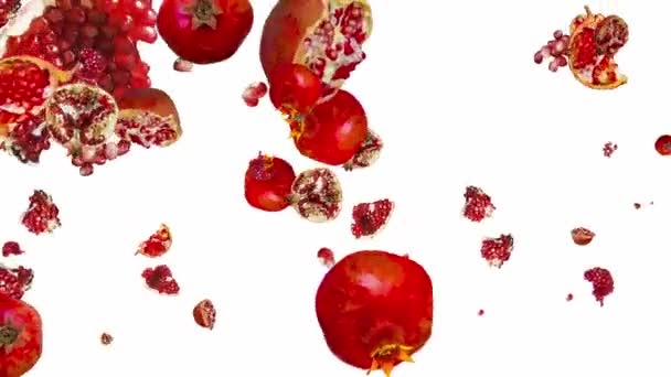 Rotating falling ripe pomegranates. pattern on a white background. the style is minimal. looping animation. Cut fruit. Resize. presentation, form, form — Stock Video