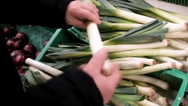 O agricultor no mercado arranja cebolas verdes. Colheita recente. Negócios. Conceito de alimentação saudável. Legumes suculentos e saudáveis do jardim. A vender no mercado. O comprador escolhe no supermercado. — Vídeo de Stock