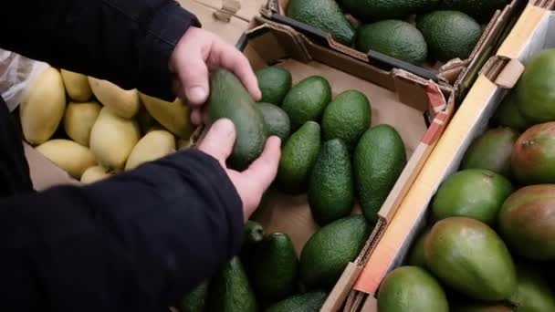 Agricoltore al mercato risolve un avocado. Vendemmia fresca. Affari. Concetto di cibo sano. Verdure succose e salutari dell'orto. Vendere sul mercato. L'acquirente sceglie al supermercato. — Video Stock