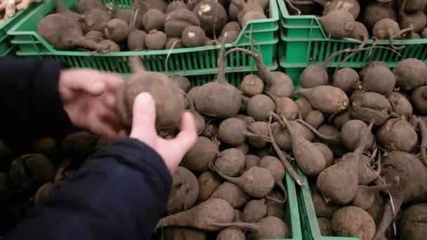 Farmer at the market sorts out radishes. Fresh harvest. Business. Healthy food concept. Juicy, healthy vegetables from the garden. Selling on the market. The buyer chooses in the supermarket. — Stock Video