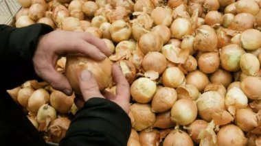 Pazardaki çiftçi soğanları ayırıyor. Taze hasat. İş için. Sağlıklı gıda konsepti. Bahçeden sulu, sağlıklı sebzeler. Piyasada satıyorum. Alıcı süpermarkette seçer..