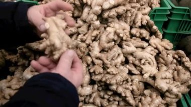 Marketteki çiftçi zencefili hallediyor. Taze hasat. İş için. Sağlıklı gıda konsepti. Bahçeden sulu, sağlıklı sebzeler. Piyasada satıyorum. Alıcı süpermarkette seçer..