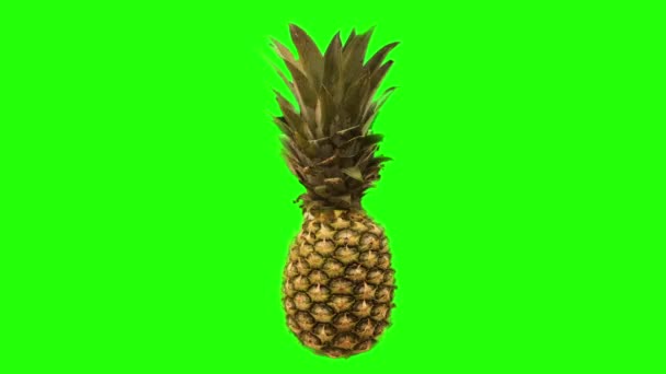 Animación de una piña. Rota. frutas tropicales — Vídeos de Stock