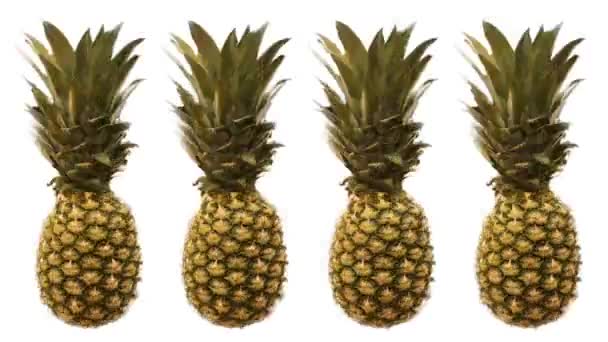 Animazione di diversi ananas. Ruota. — Video Stock