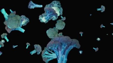 Siyah arkaplanda brokoli hareketli desen.