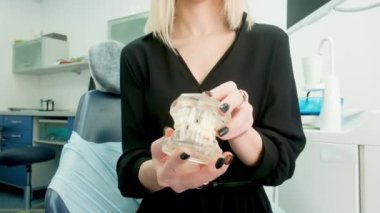 Müvekkilin elindeki çenenin diş modeli. Hasta dişlerinde bir sorun olduğunu gösteriyor. Taçlar, takma dişler. Diş tedavisi ve bakımı. Yakın plan. İlaç.