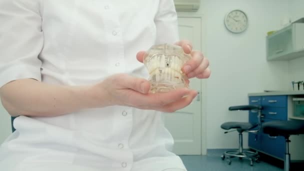 Dental model of the jaw in the hands of an orthodontist. The dentist points out the problem with the teeth. Crowns, dentures. Dental treatment and care. Close-up. the medicine — Stock Video