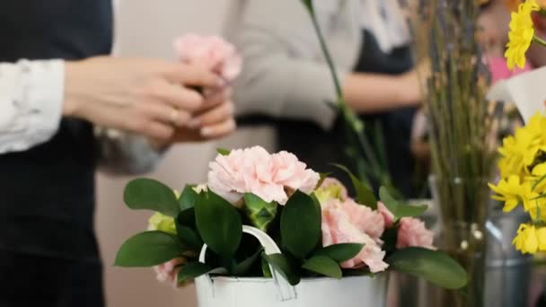 Närbild. Kvinnlig florist gör blommig design. Praktiken att göra vackra blombuketter av unga yrkesverksamma. Jobbar i en blomsteraffär. förberedelse för semester, bröllop, årsdag — Stockvideo