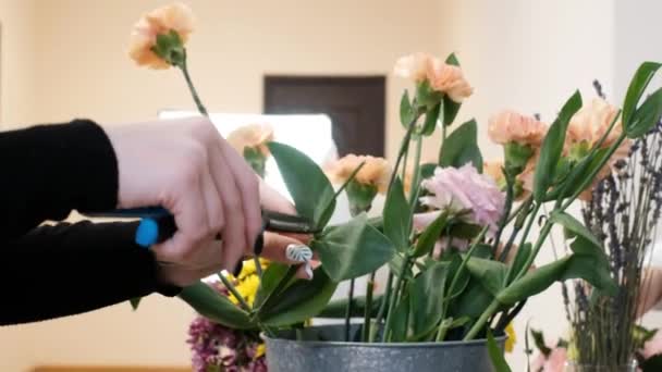 Een close-up. Vrouwelijke bloemist maakt bloemmotief. De praktijk van het maken van prachtige bloemen boeketten door jonge professionals. Werken in een bloemenwinkel. voorbereiding op een vakantie, bruiloft, jubileum — Stockvideo