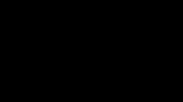 Animación de la aparición de una silueta de un corazón de diferentes verduras maduras y jugosas sobre un fondo negro. cayendo de arriba a abajo, rotar y cambiar el tamaño. El concepto de cosecha, dieta — Vídeos de Stock