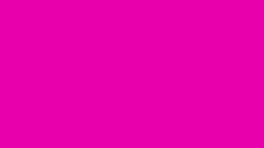 Pembe arka planda beyaz papatya çiçeklerinin canlandırılması. Dönüyor, boyunu değiştiriyor. Kareyi doldur. Dekoratif kartpostal, kenar, kesik, boş, tasarım. çerçeveyi doldur
