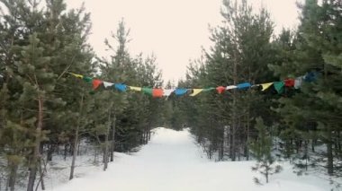 İplerden sarkan dua bayrakları, ağaçların arasında asılı, güçlü rüzgarda dalgalanıyor. Güneşli bir günde, kışın üzerinde dalgalanan canlı Budist bayraklarının sinematik bir çekimi. Kachkanar
