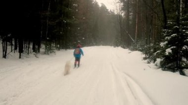Bir grup kros kayakçısı. Köpeği gezdiriyorum. Dağlardaki engelleri aşmak. Ekstrem sporlar. Tatil seyahati. Tatil ve aktif yaşam tarzı konsepti. Kış karı