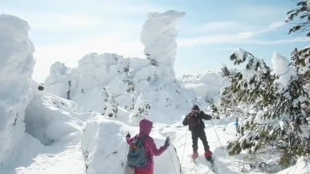 Gruppo di fondisti. Superare gli ostacoli in montagna. Sport estremi. Viaggi in vacanza. Vacanza e stile di vita attivo concetto. Neve invernale — Video Stock