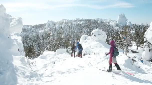 Grupa narciarzy biegowych. Pokonywanie przeszkód w górach. Sporty ekstremalne. Podróże wakacyjne. Wakacje i koncepcja aktywnego stylu życia. Śnieg zimowy — Wideo stockowe