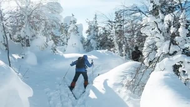 一群越野滑雪者。克服山中的障碍。极限运动度假旅行。度假和积极的生活方式概念。冬季雪 — 图库视频影像