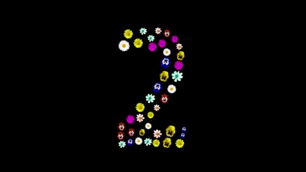 Números 1, 2,3,4,5,6,7,8,9,10 de diferentes colores sobre un fondo negro aislado. Aparecen hacer la transformación Elemento para la decoración. Pansies, ojos, manzanilla. Salvapantallas, corte, vacaciones, bodas, cumpleaños — Vídeo de stock