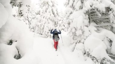 Turist kayakçısı. Dağlardaki engelleri aşmak. Ekstrem sporlar. Tatil seyahati. Tatil ve aktif yaşam tarzı konsepti. Kış karı